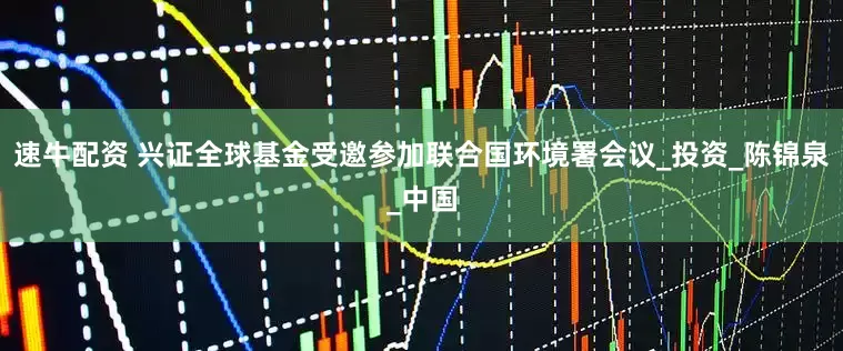 速牛配资 兴证全球基金受邀参加联合国环境署会议_投资_陈锦泉_中国